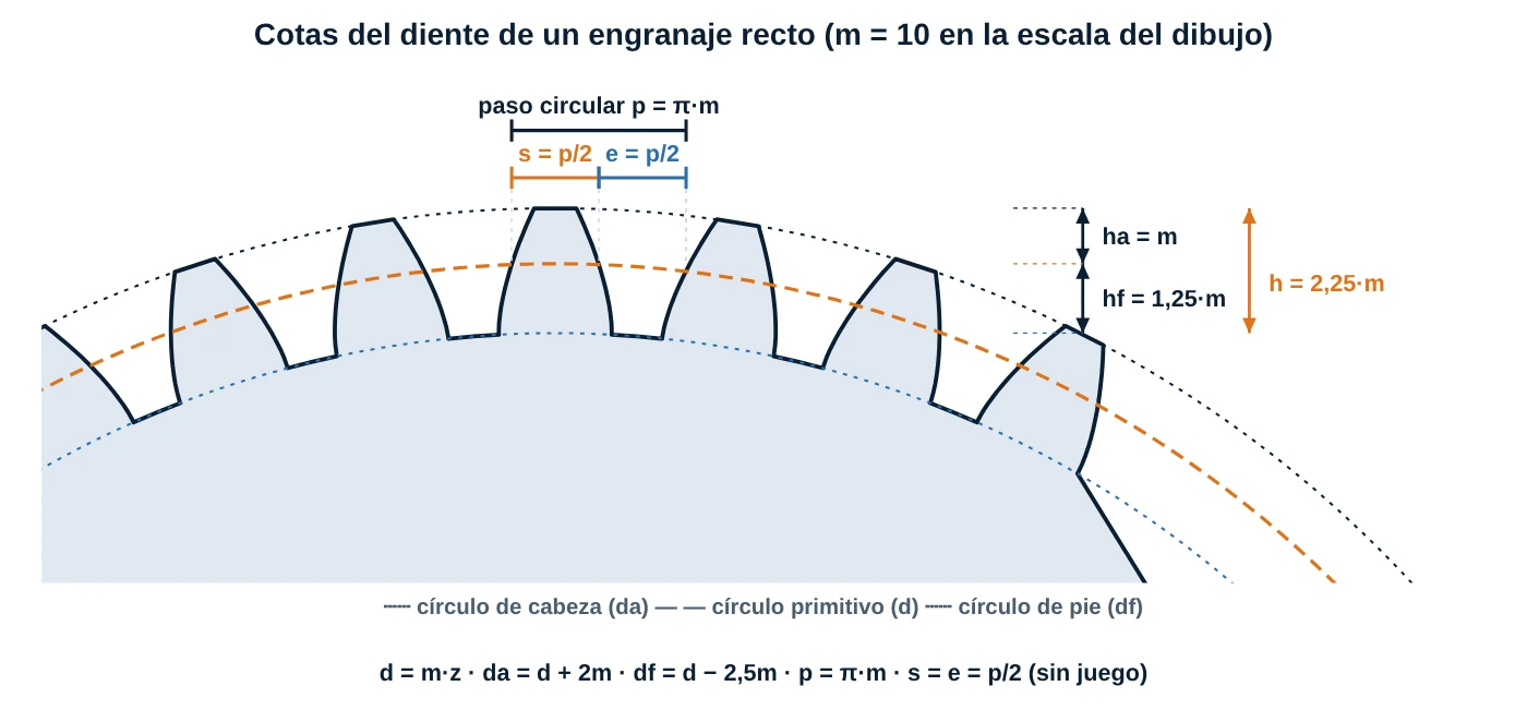 Dibujo de un engranaje recto con perfil de evolvente y las cotas ha, hf, h, paso circular p, espesor de diente s y espesor de espacio e