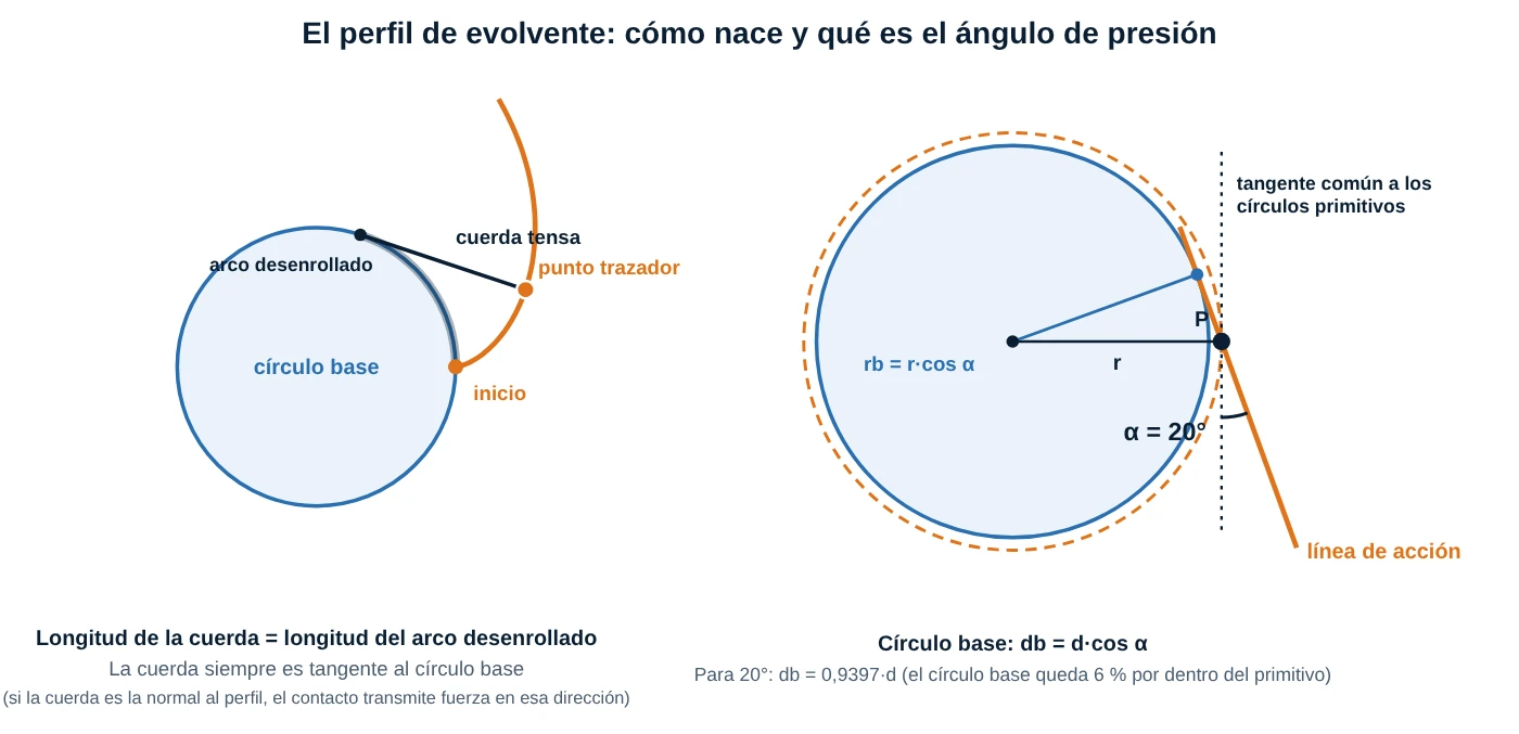 Generación de la evolvente desenrollando una cuerda de un círculo base, y definición del ángulo de presión y de la línea de acción