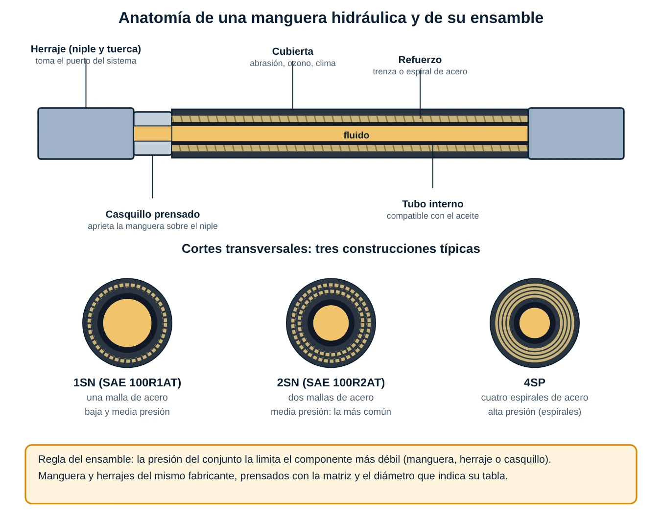 Corte longitudinal de una manguera con herrajes y tres cortes transversales de mangueras 1SN, 2SN y 4SP