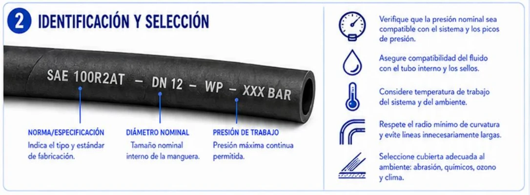 Ficha: identificación y selección; manguera marcada SAE 100R2AT, DN 12, WP XXX BAR con las leyendas norma, diámetro nominal y presión de trabajo, y cinco criterios de selección