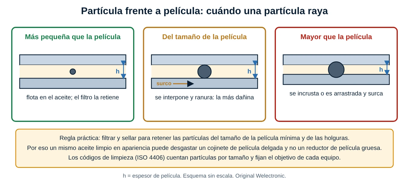 Tres casos de partícula entre dos superficies: más pequeña que la película, del tamaño de la película y mayor que la película